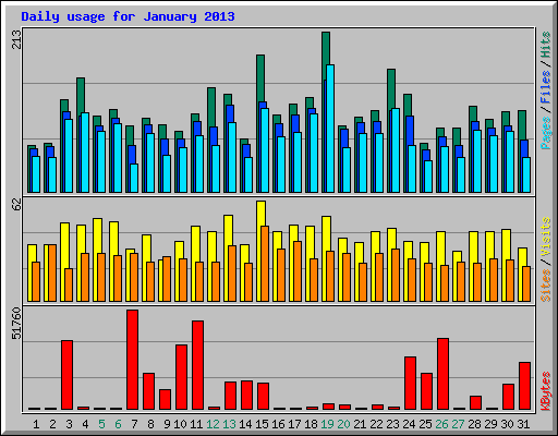 Daily usage for January 2013
