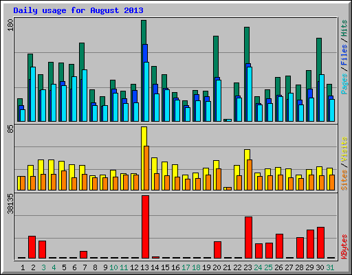 Daily usage for August 2013