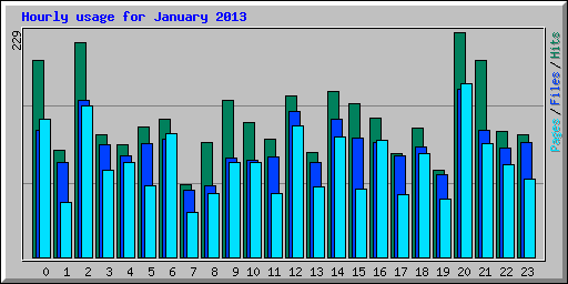 Hourly usage for January 2013