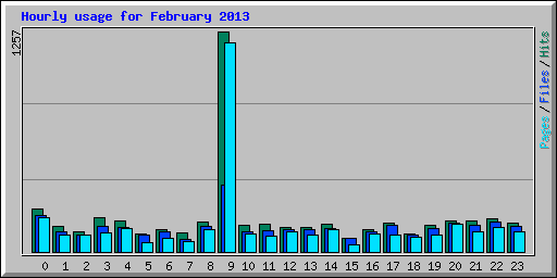 Hourly usage for February 2013