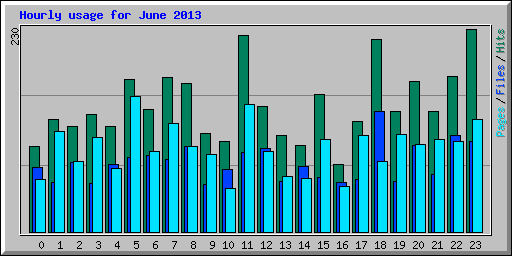 Hourly usage for June 2013